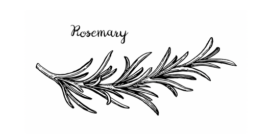 Rosemary vs. Minoxidil: The Natural Path to Hair Vitality