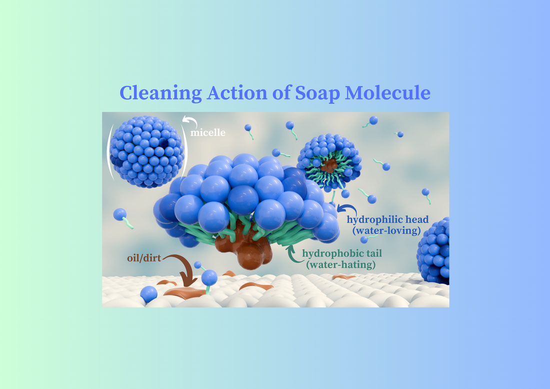 How Does Soap Work?